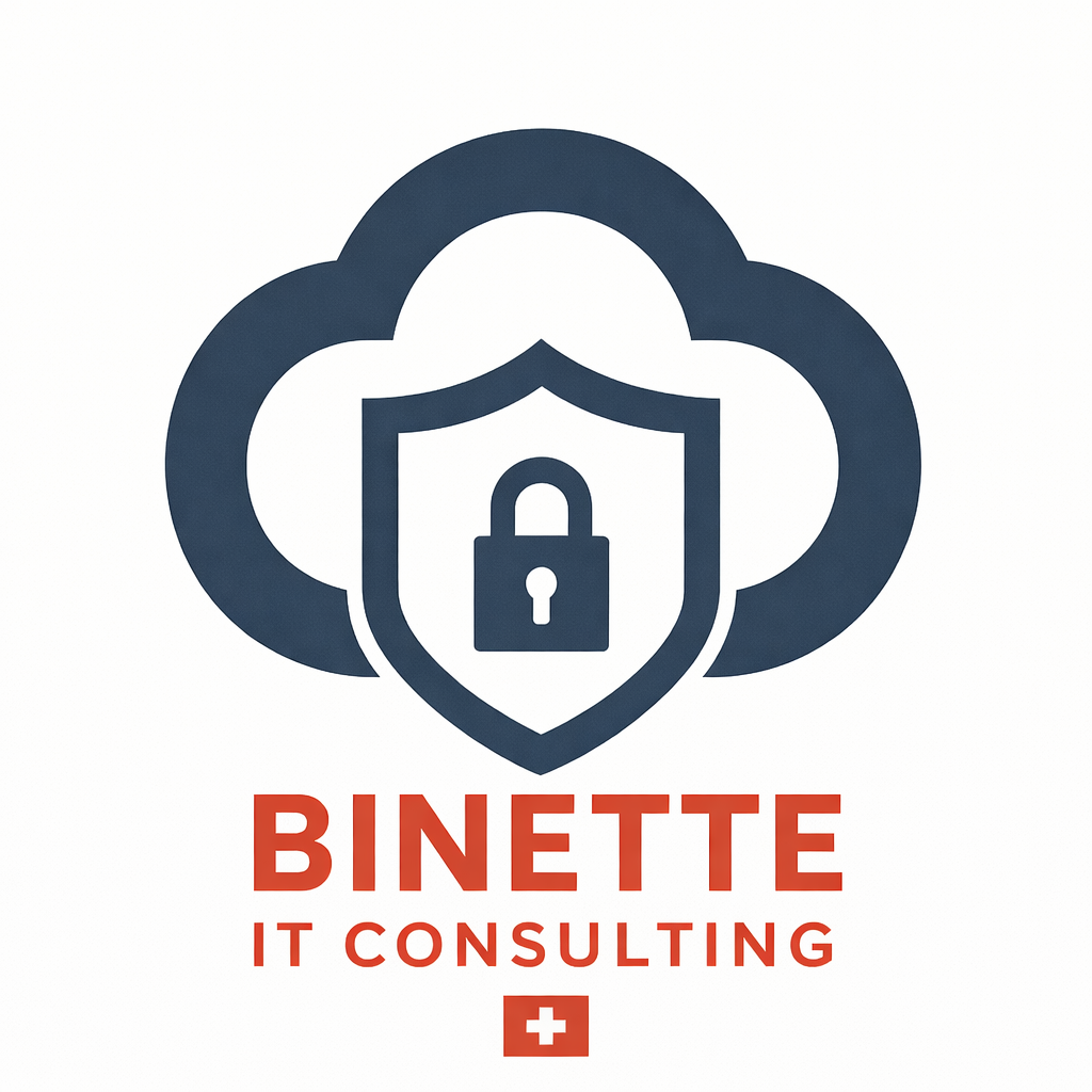Binette IT Consulting