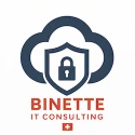 Binette IT Consulting